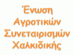 31-5-2010 :      2010